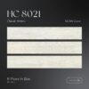 Hilo HC8021 05